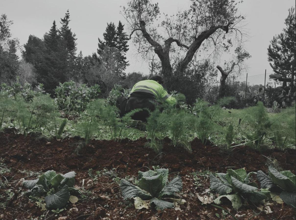 Salento Home Farm Bagnolo del Salento Zewnętrze zdjęcie