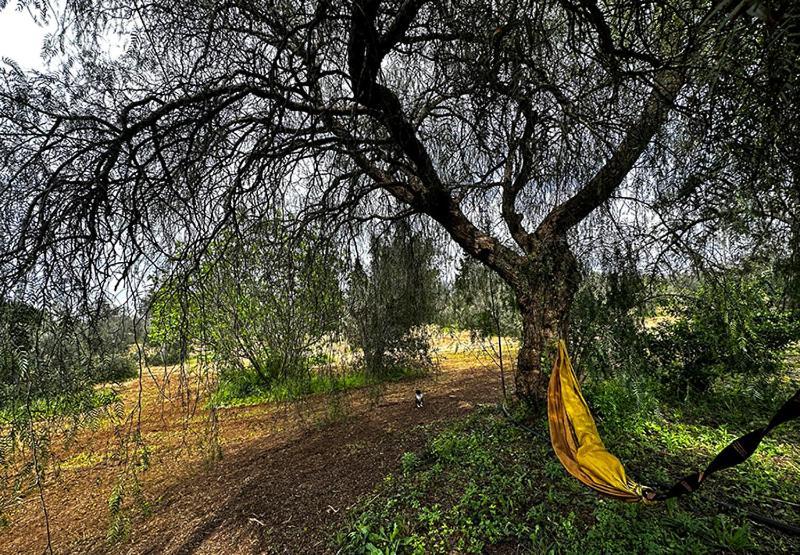 Salento Home Farm Bagnolo del Salento Zewnętrze zdjęcie